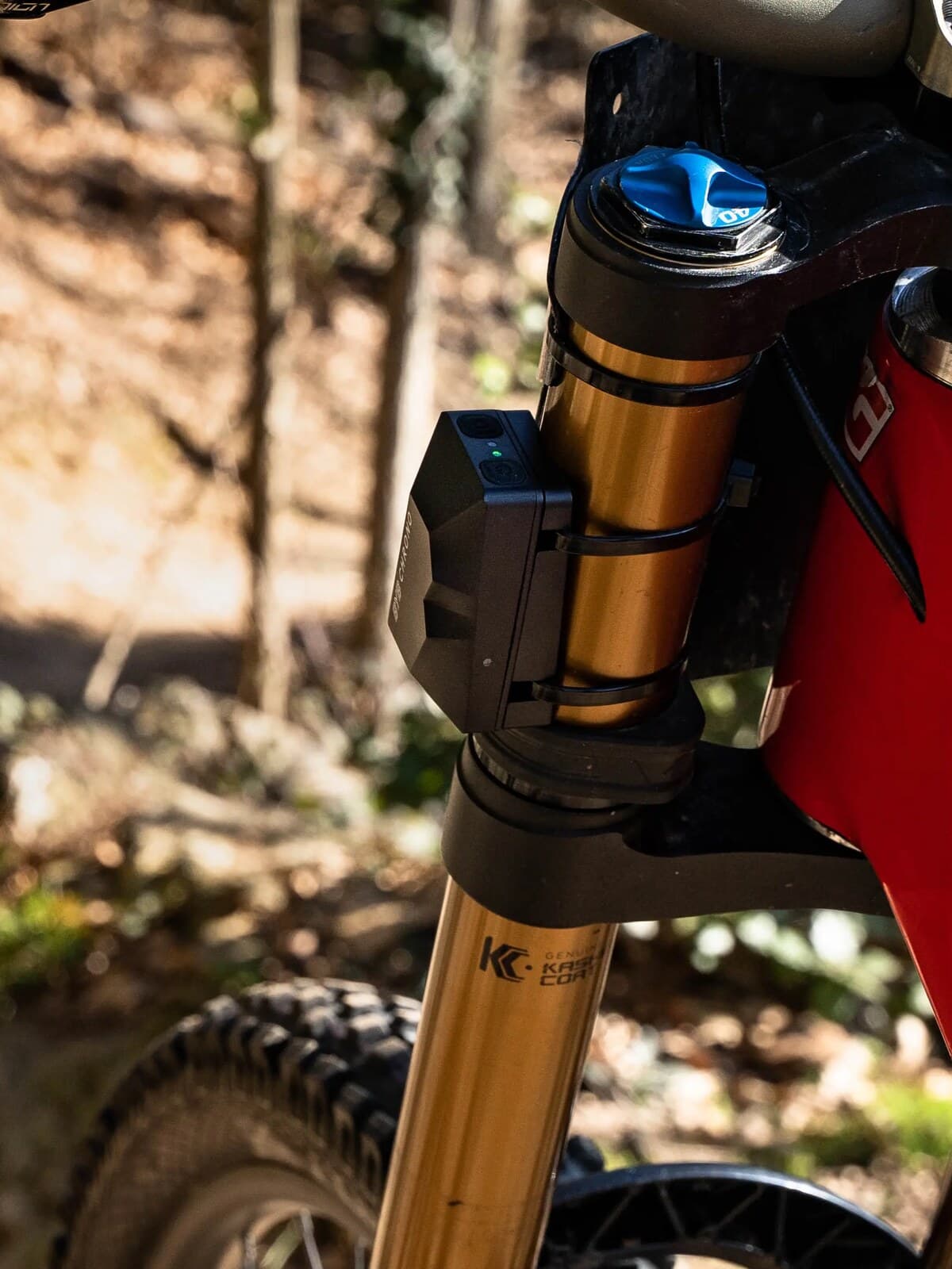 A BYB Chrono mounted on the fork crown of a mountain bike, on the trail.
