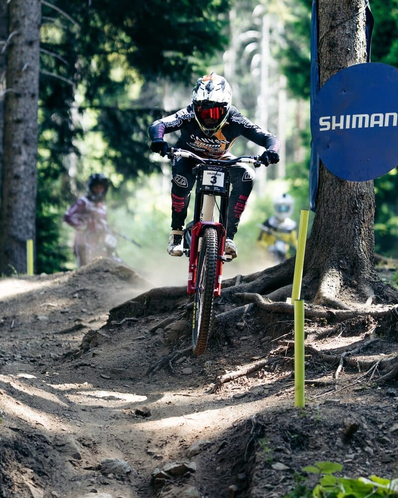 A downhill racer riding through a section of exposed tree roots on a World Cup course at Lenzerheide, with the roots crossing the full width of the trail.